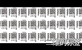 凯时A-1喷码平台一体机Technical Parameters